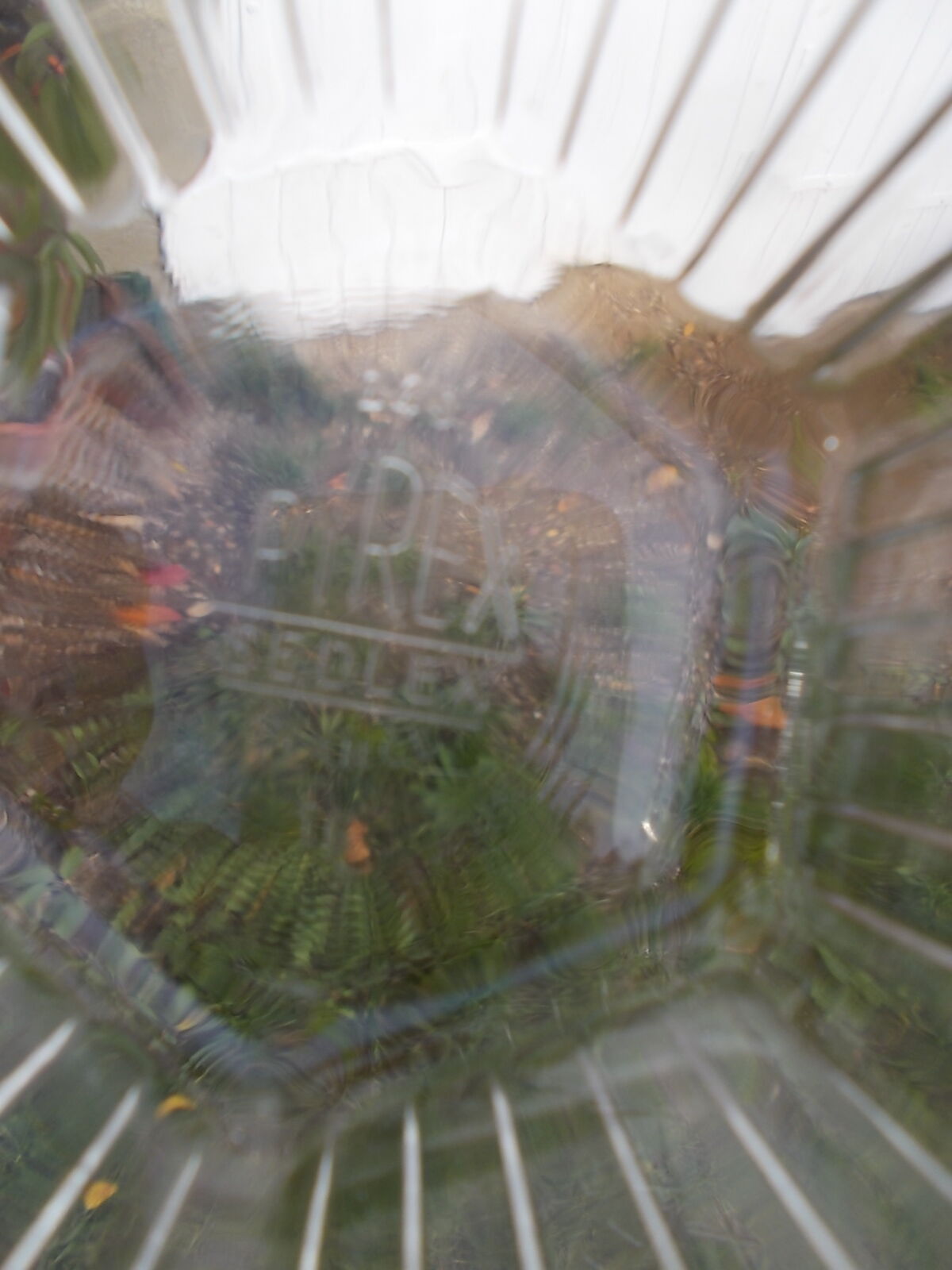 Set of 5 pyrex ramekins