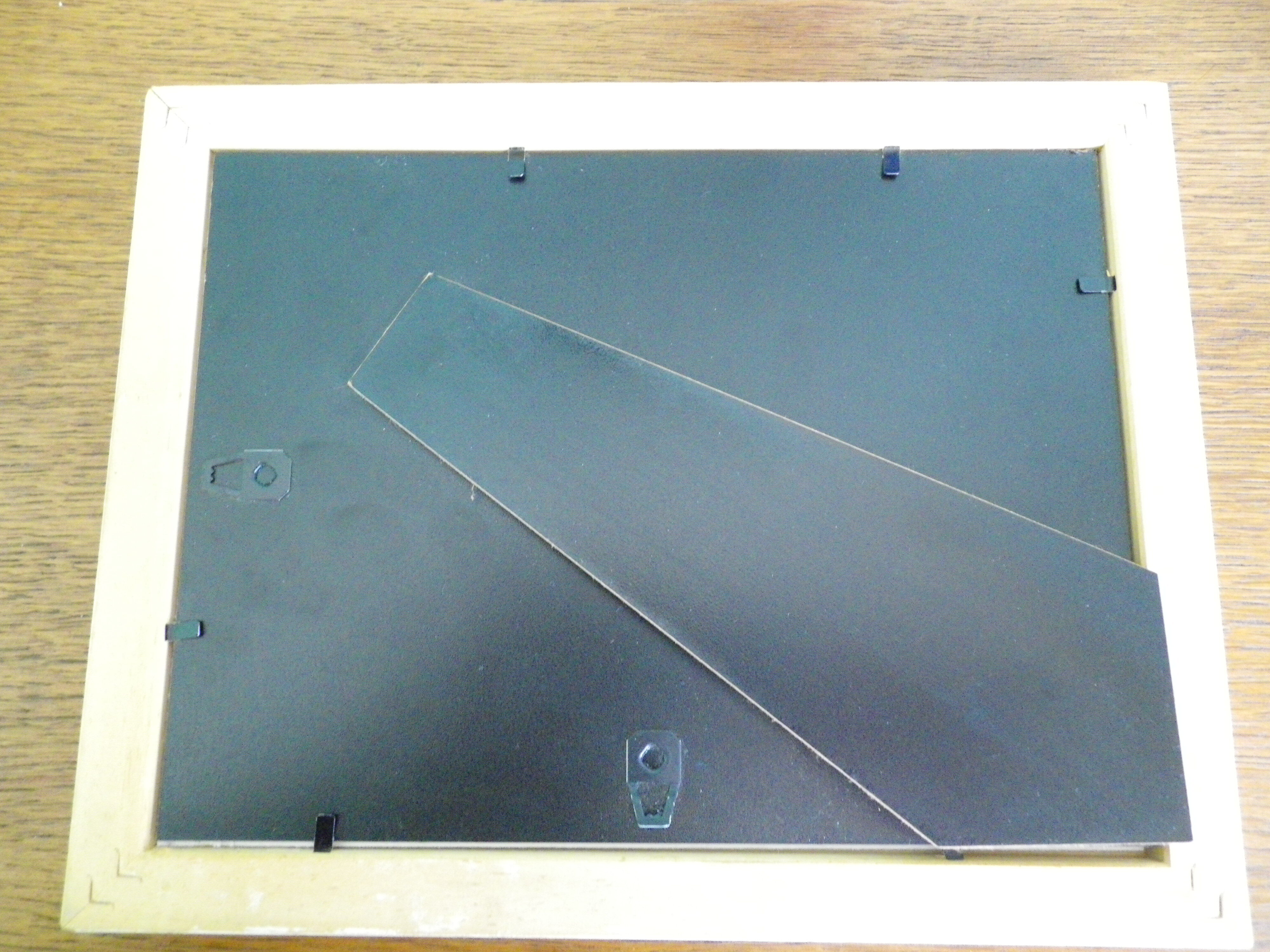 Photograph of Léo Férré