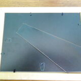 Photograph of Léo Férré