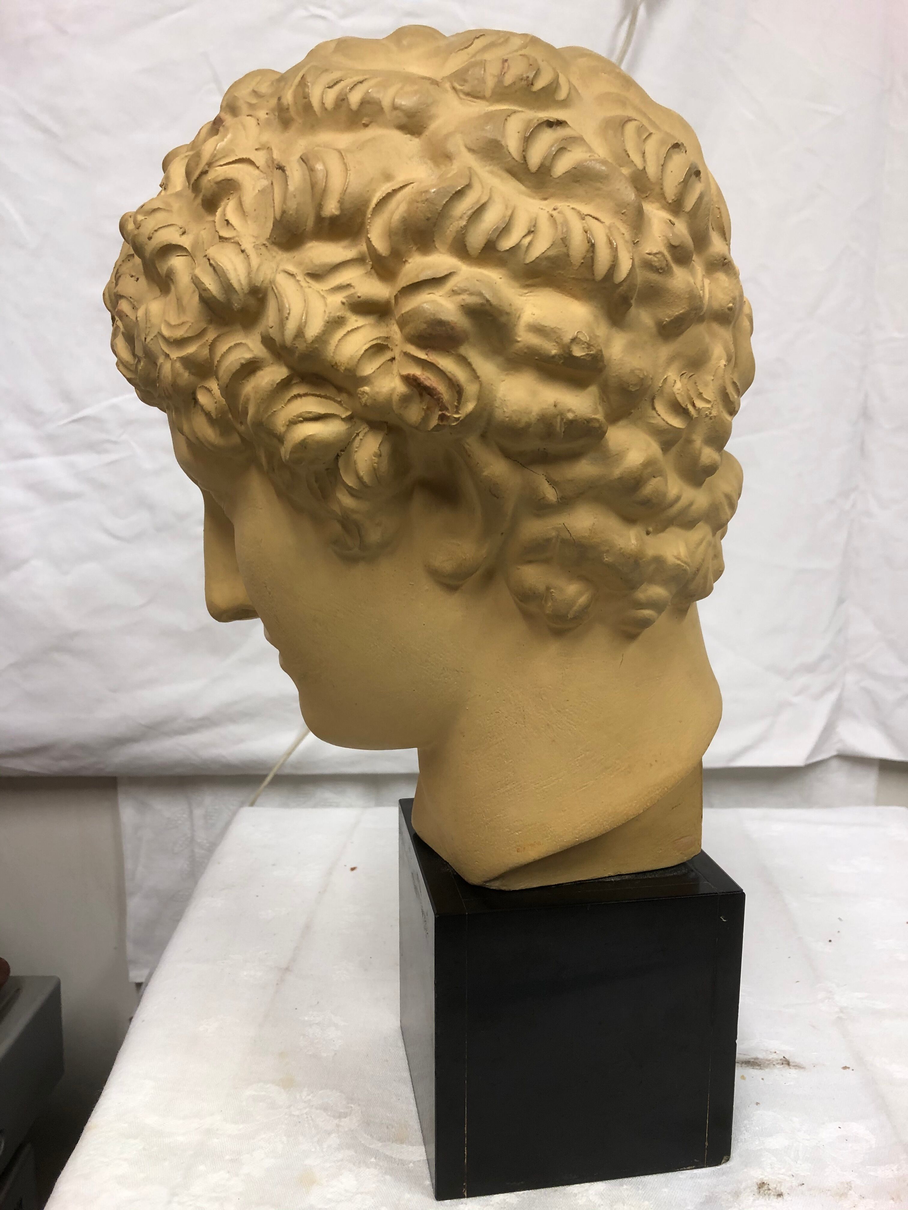 Tête de romain antique des années 70