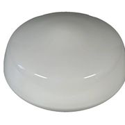 1950s 1960s Ceiling Light Flush Mount from RZB Germany Mid-Century Design
