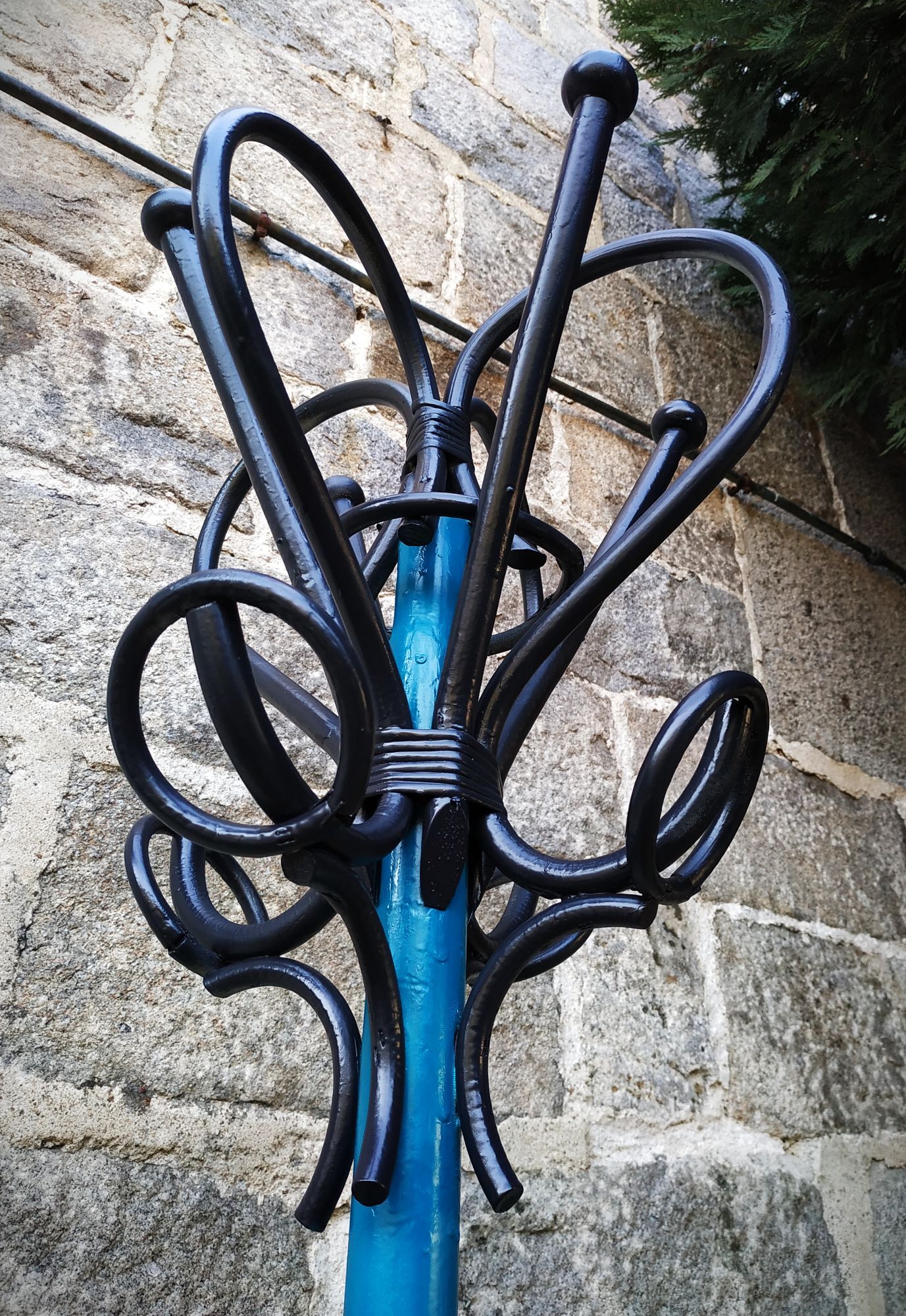 Painted parrot coats door