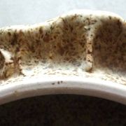 Vegetable dish, covered pot, glazed ceramic art, 1970s, signature to be identified
