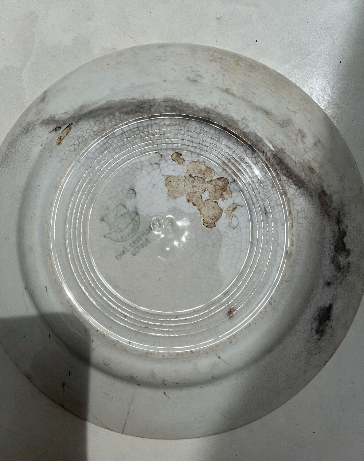 Old Creil and Montereau Labrador plate