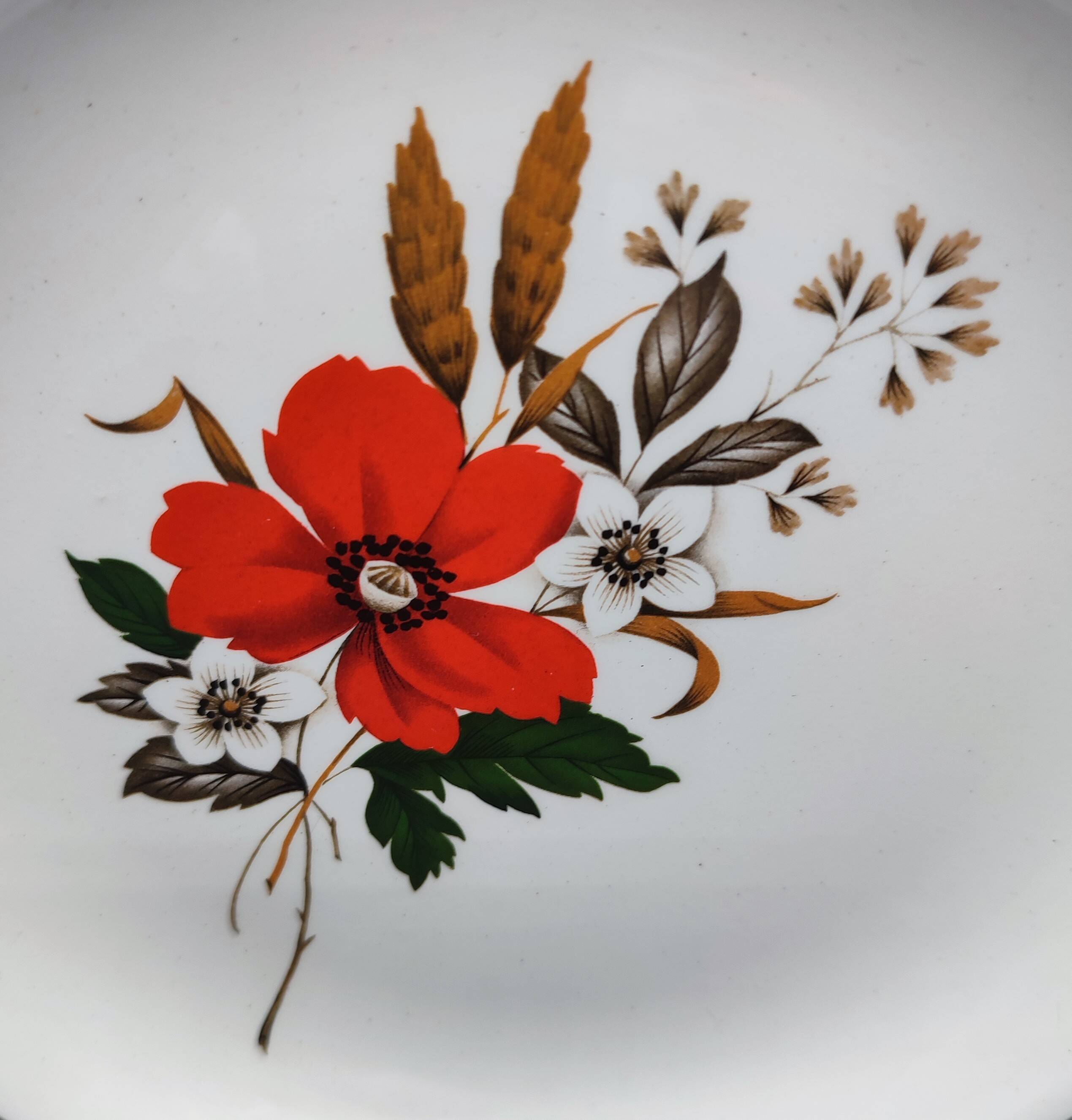 Set of 8 plates + 1 vintage oval dish Moulin des Loups Champêtre red