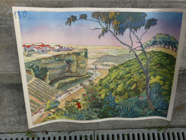 School poster editions nightingale N° 41 and 42 mountain and Mediterranean vegetation