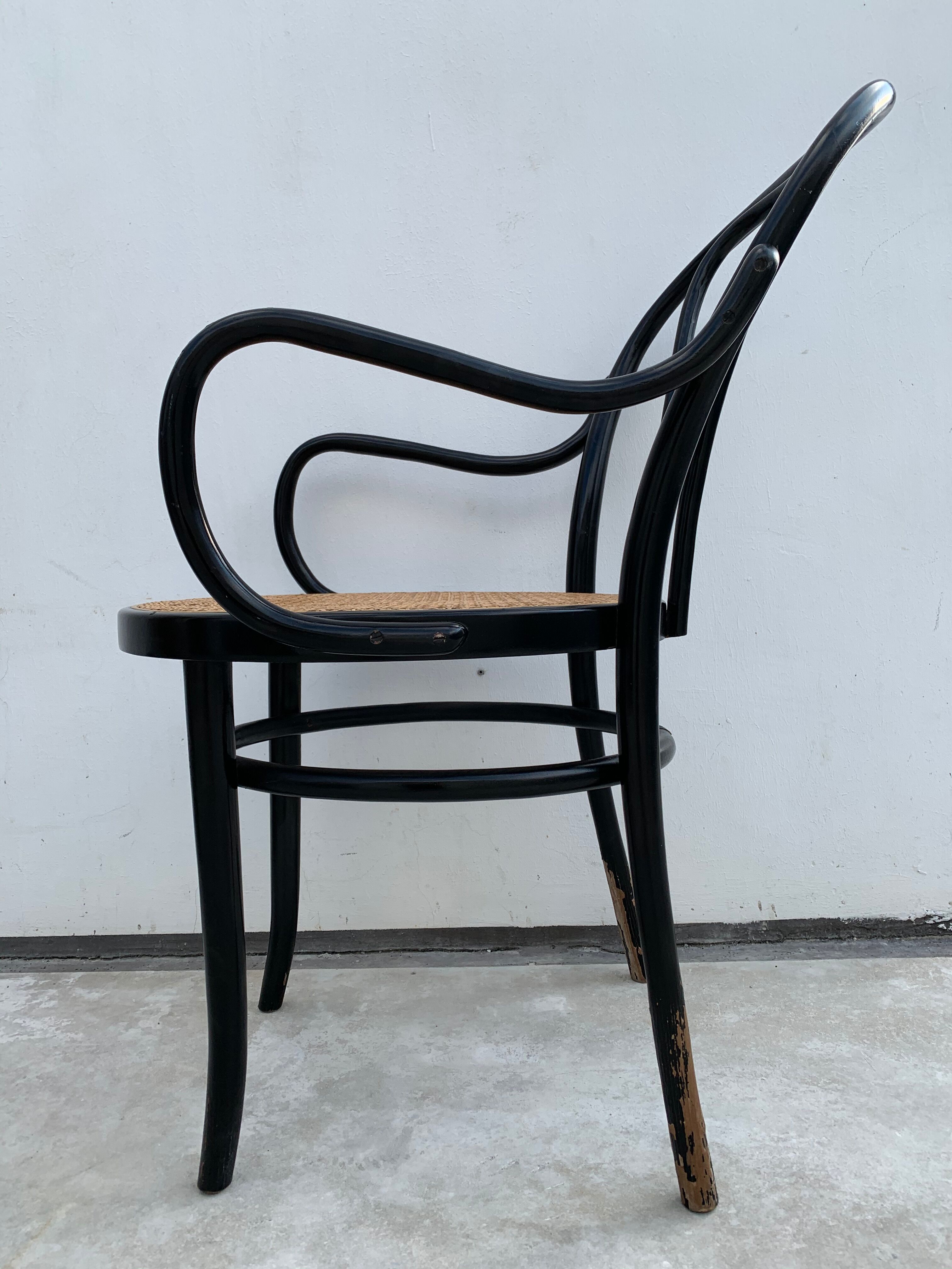 Tuna chair model 1018 in black curved wood and canning 1930