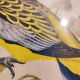 Gould Lithograph Enhanced Hand Parakeet