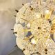 Mid century brass and crystal sputnik chandelier by Val saint lambert, 1960s