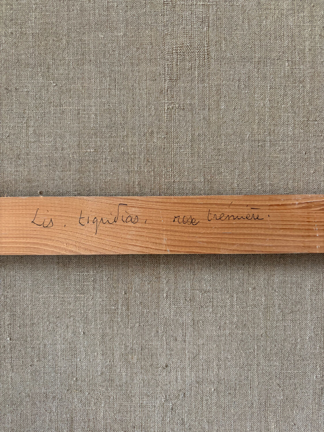 List of tigridias and hollyhocks, signed Maurice Bouillot 1972