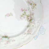 Assortment of 6 dinner plates