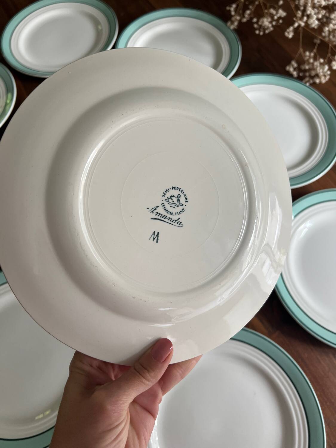 10 vintage flat plates Amanda Ceranord France