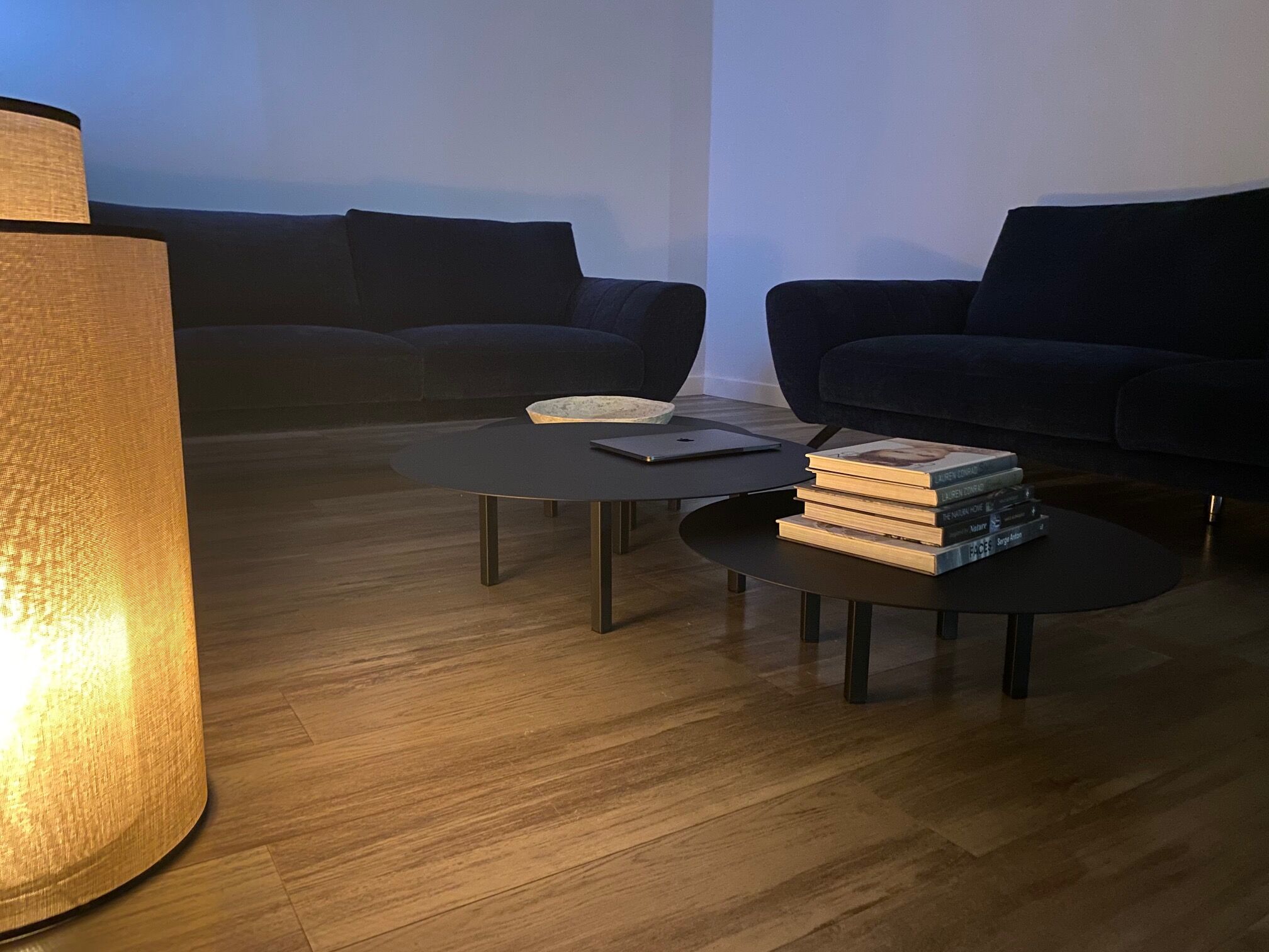 Canapé Roche Bobois