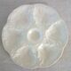 8 vintage Gien ceramic barbotine oyster plates