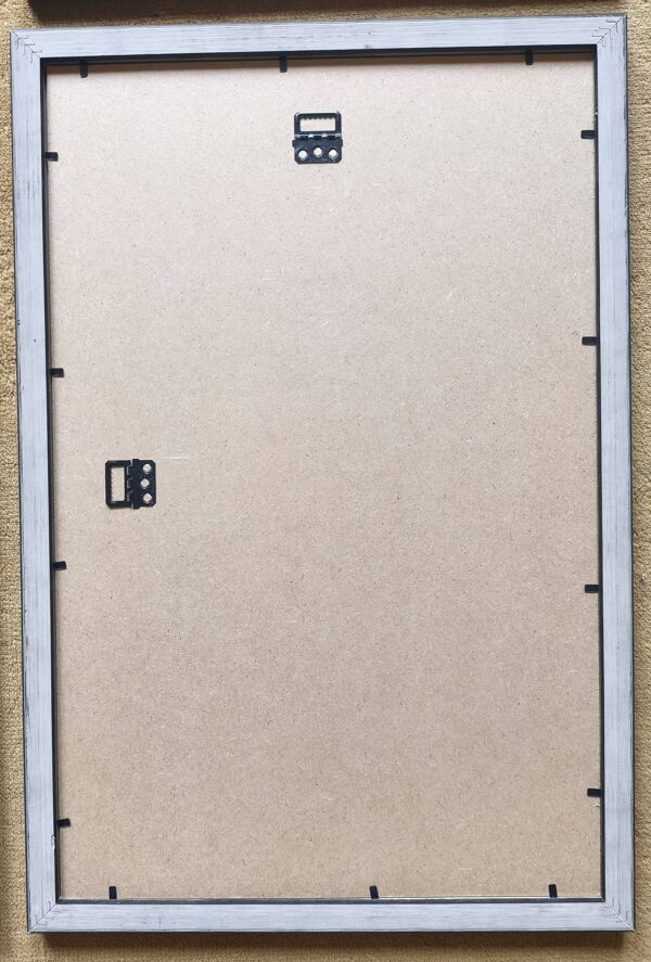 Herbiers anciens encadrés, lot de 4