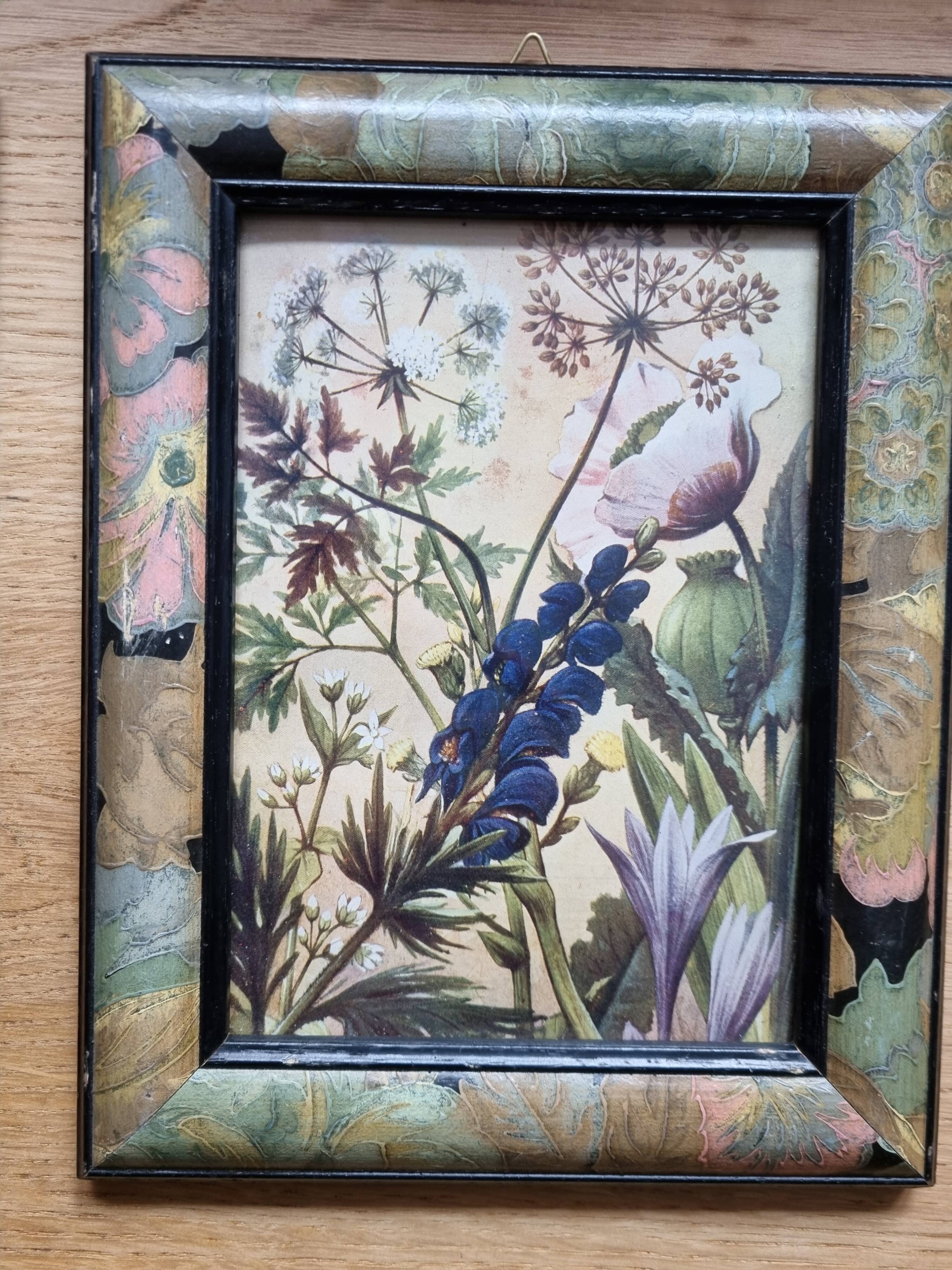 Paire de cadres art deco plantes médicinales
