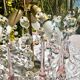 Magnificent Cascade Chandelier in Brass & Crystal Glass 1970s Vintage