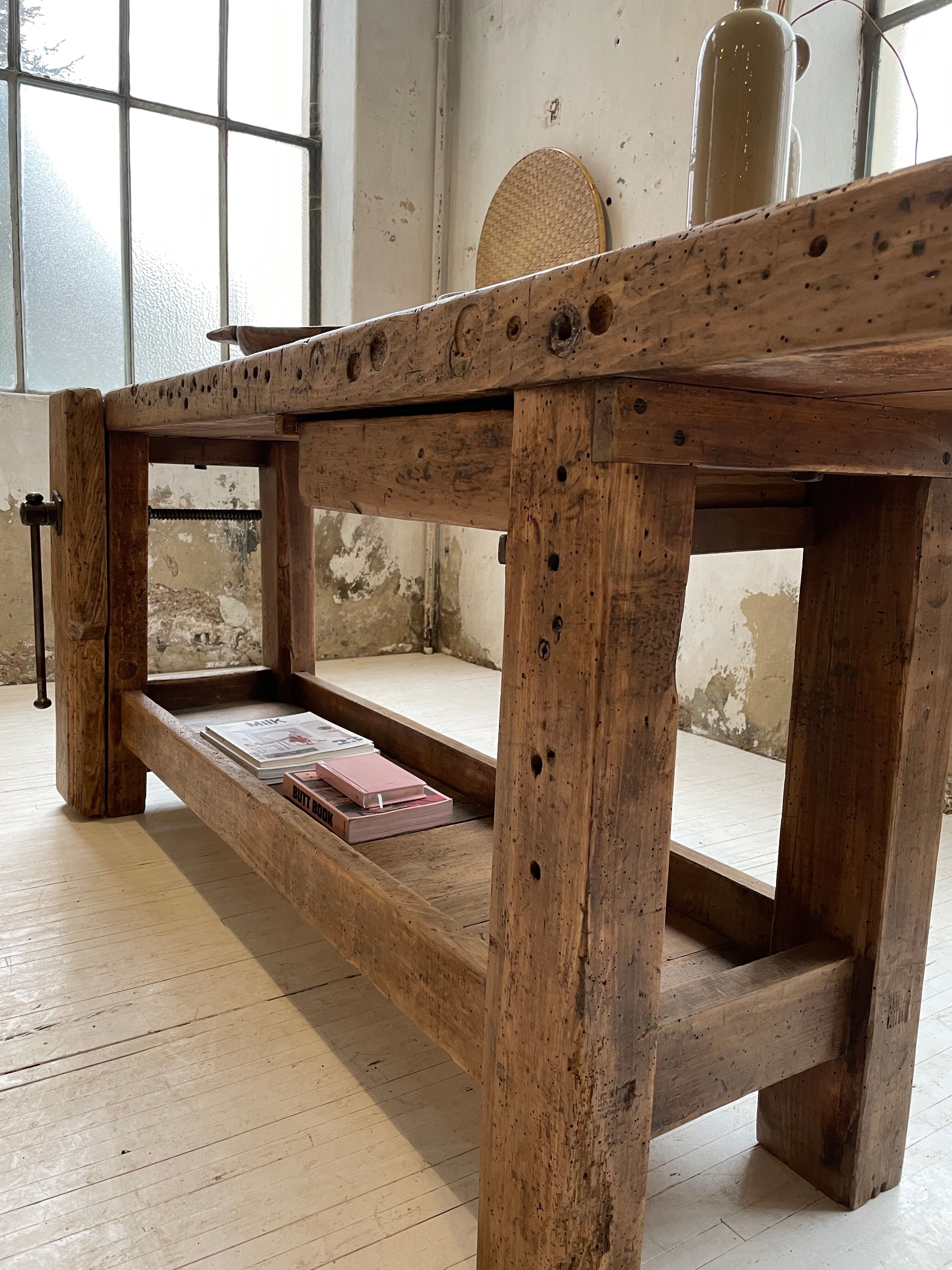 Established old oak XL