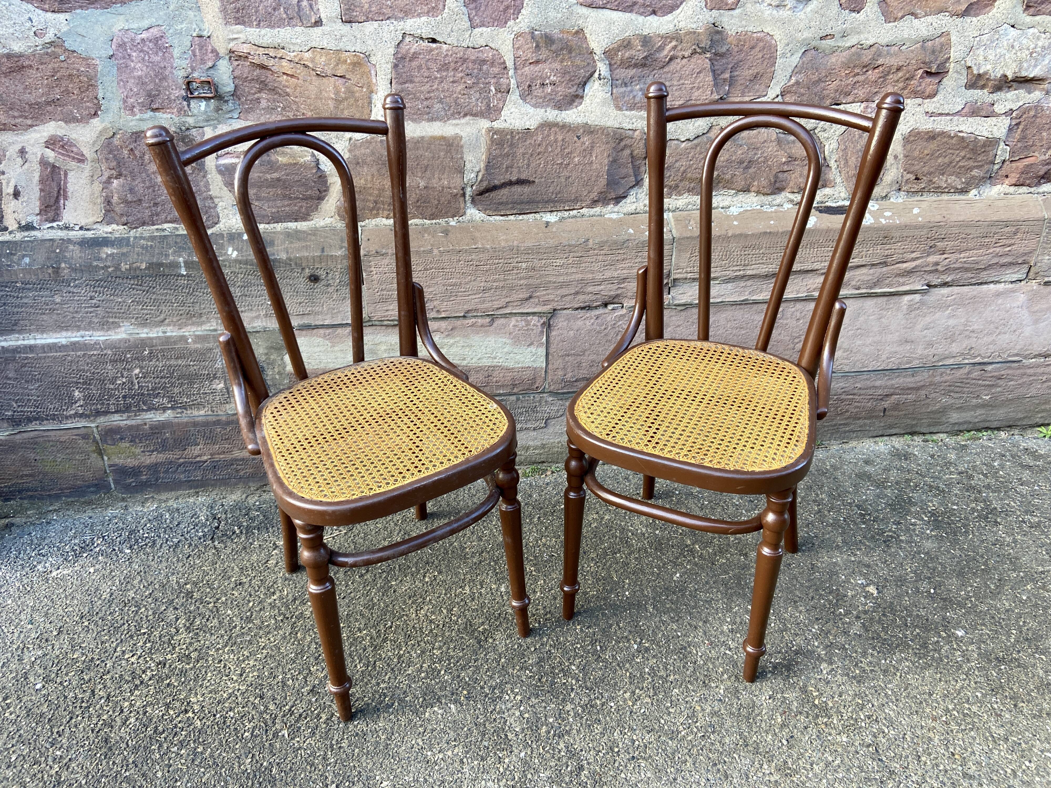 Pair of Viennese bistro chairs Fischel Nr 56 bentwood