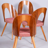 Four restored mid-century chairs, antonin suman, beech, walnut, czechia, 1950s
