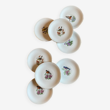 Set of 8 vintage porcelain dessert plates decorated with birds and flowers