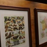 Original lithographs on trees