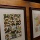 Original lithographs on trees