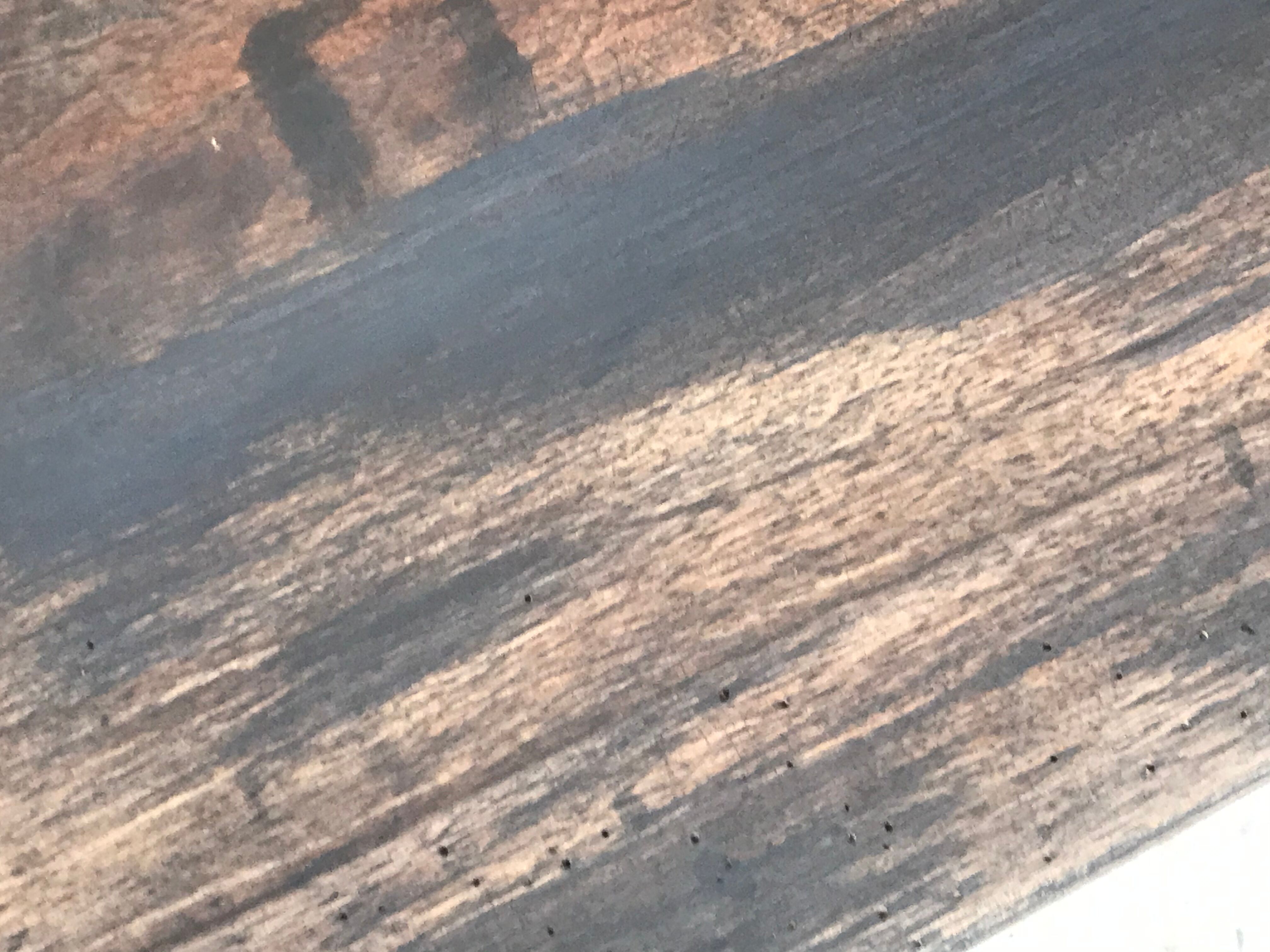 Furniture with a dingting cabinet