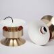 Pair of 2 vintage lamps Trava by Carl Thore, 1960s