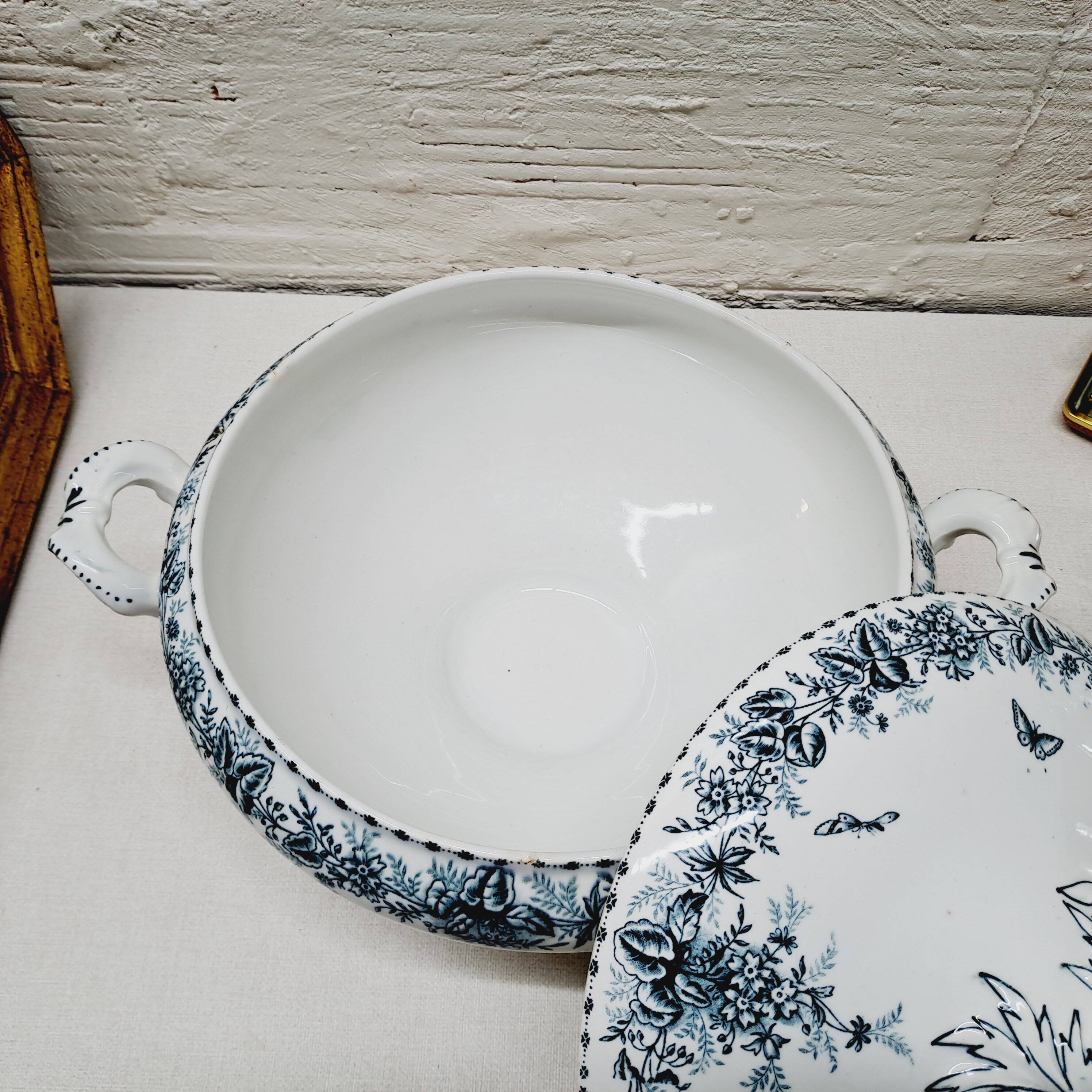 Vegetable Terre de Fer Onaing