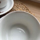 Cups seltmann weiden bavaria + saucer