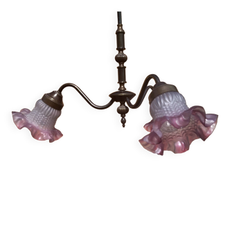 Lustrous flowers of the 1920s