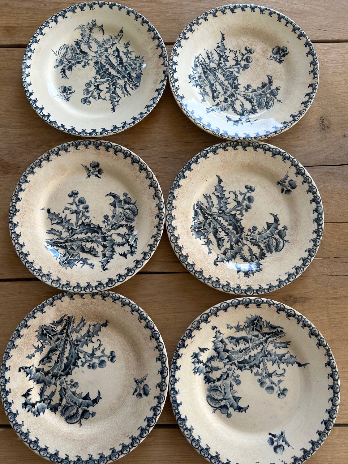 6 antique dessert plates, ironstone Gien Chardons
