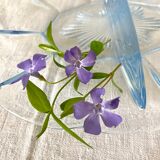 1950s glass serving dish