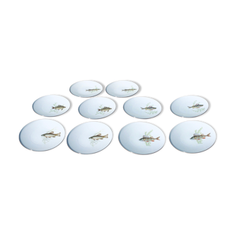 The ten porcelain fish plates