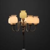 Mid-Century Floor Lamp by Drukov Brno, 1970s, Czechoslovakia