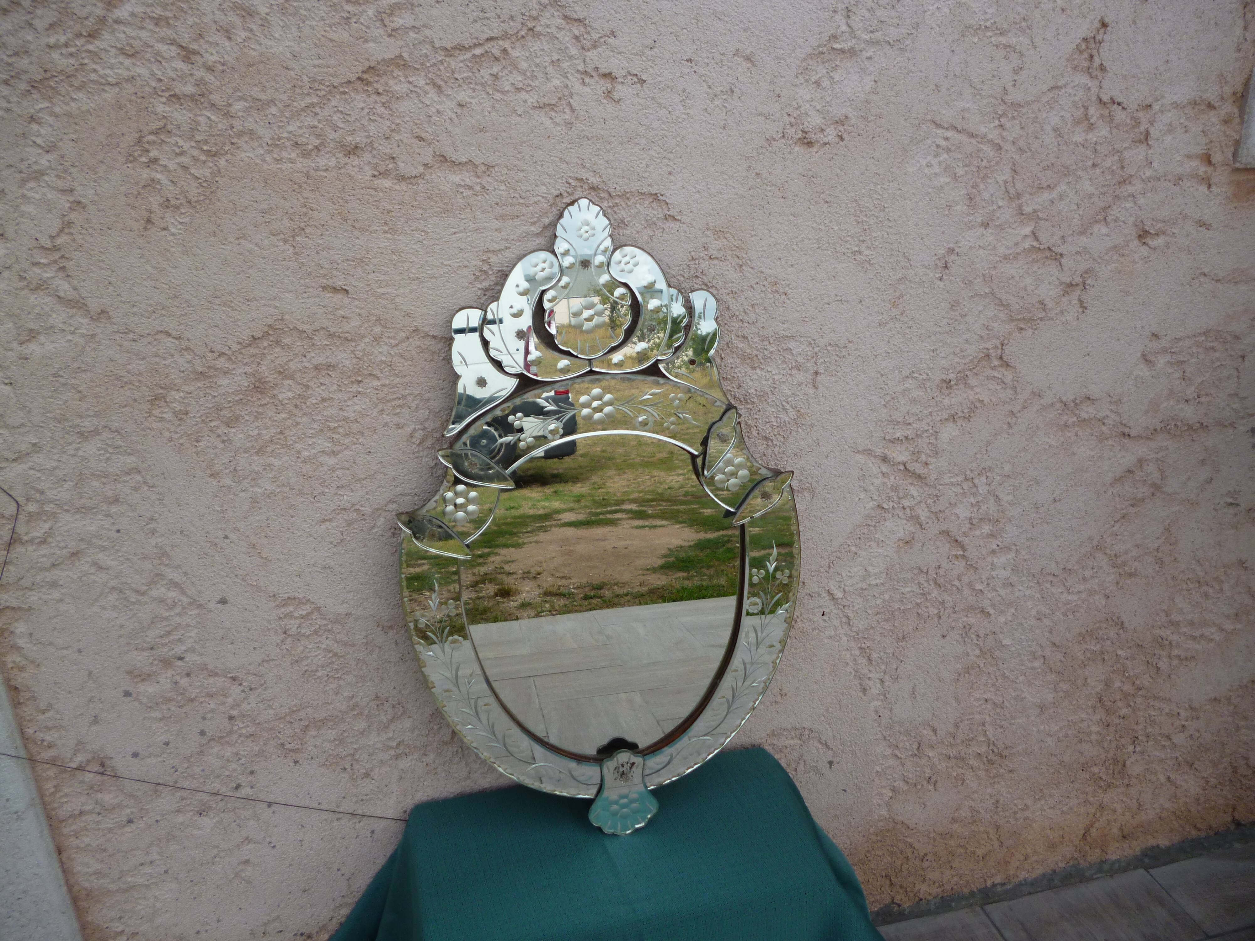 Mirror of venice XX ems 45x75cm