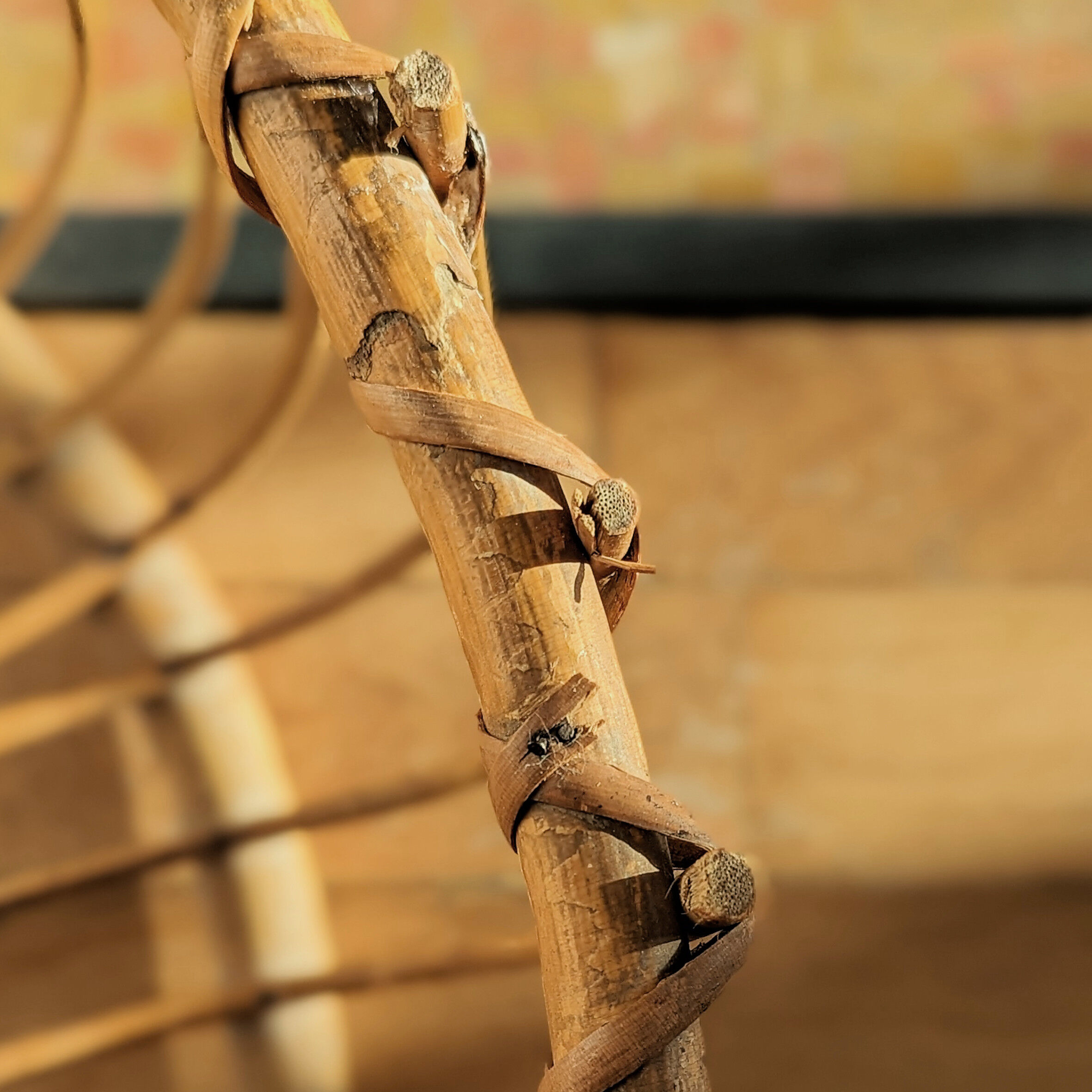 Rattan floor lamp, 60s