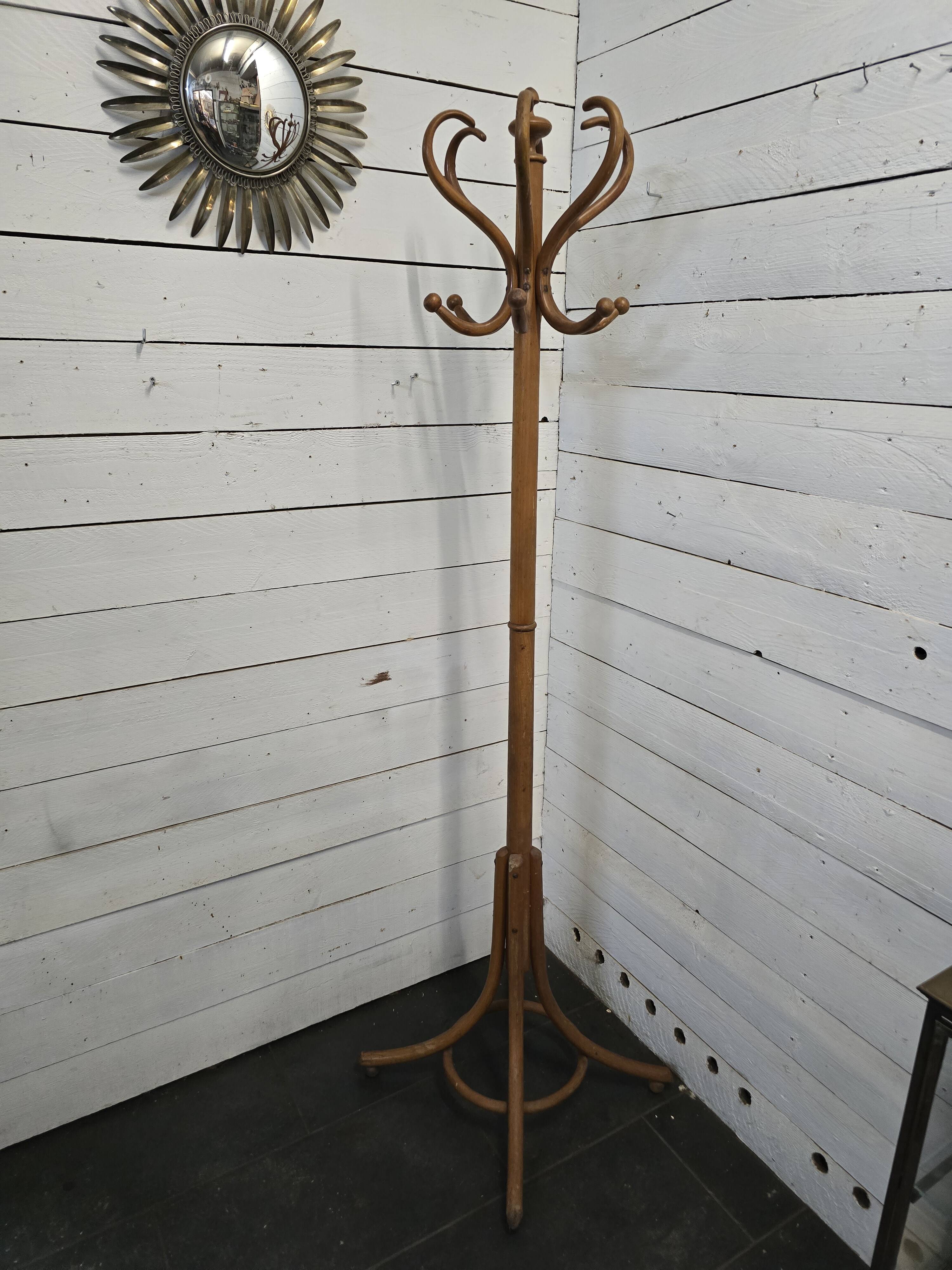 Parrot coat rack in curved wood