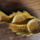 Vallauris appetizer dish in fat lava earthenware in the shape of a fish