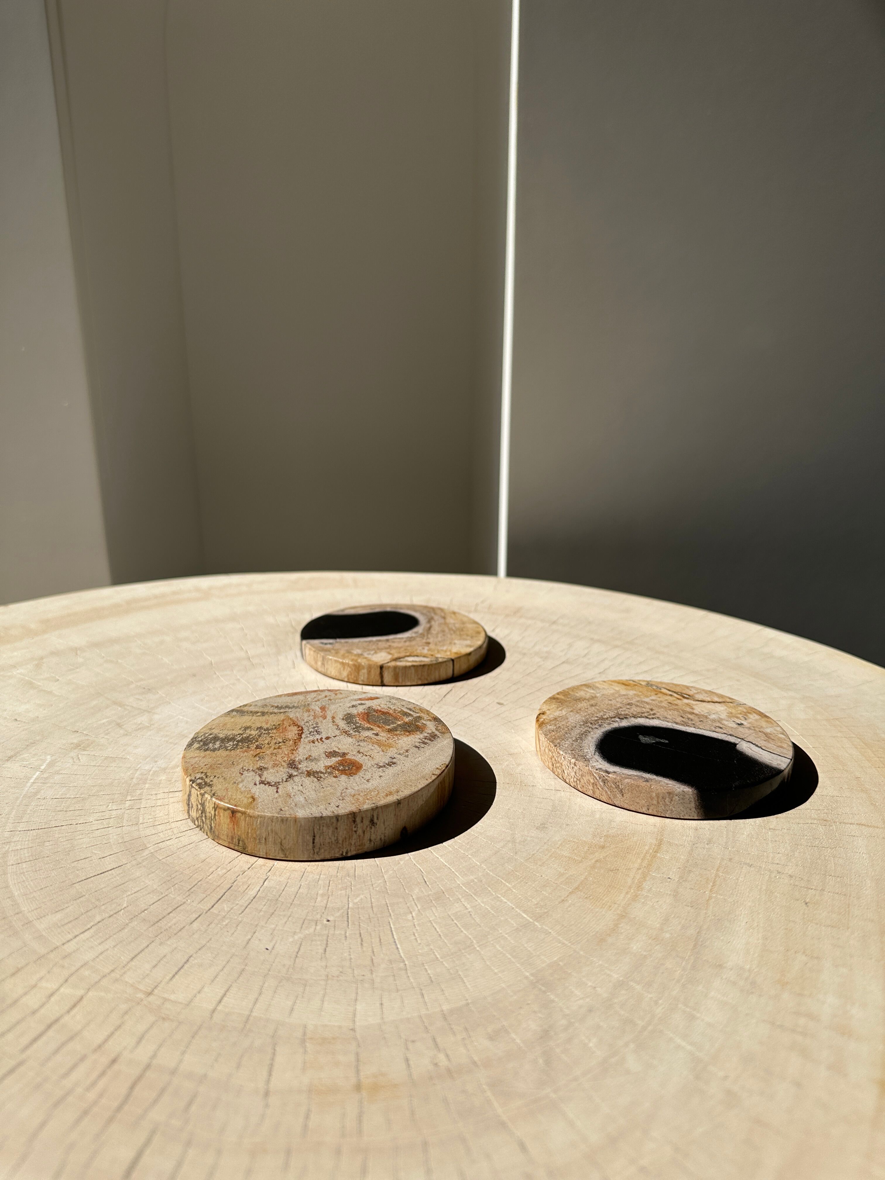 Set of 3 fossilized wooden coasters (clear)