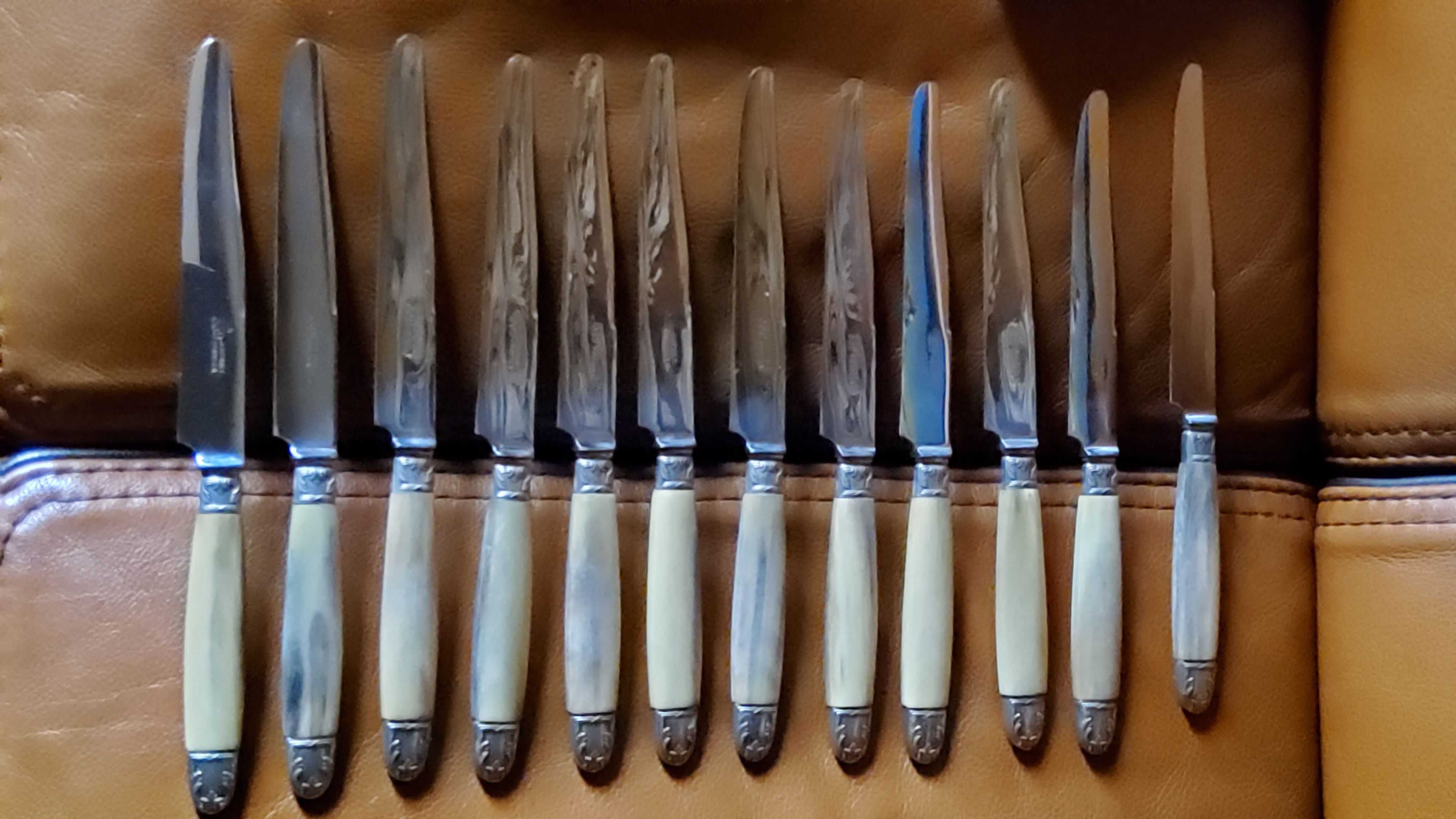 Box of 12 table knives goldsmith Apple handle horn and silver metal