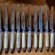 Box of 12 table knives goldsmith Apple handle horn and silver metal
