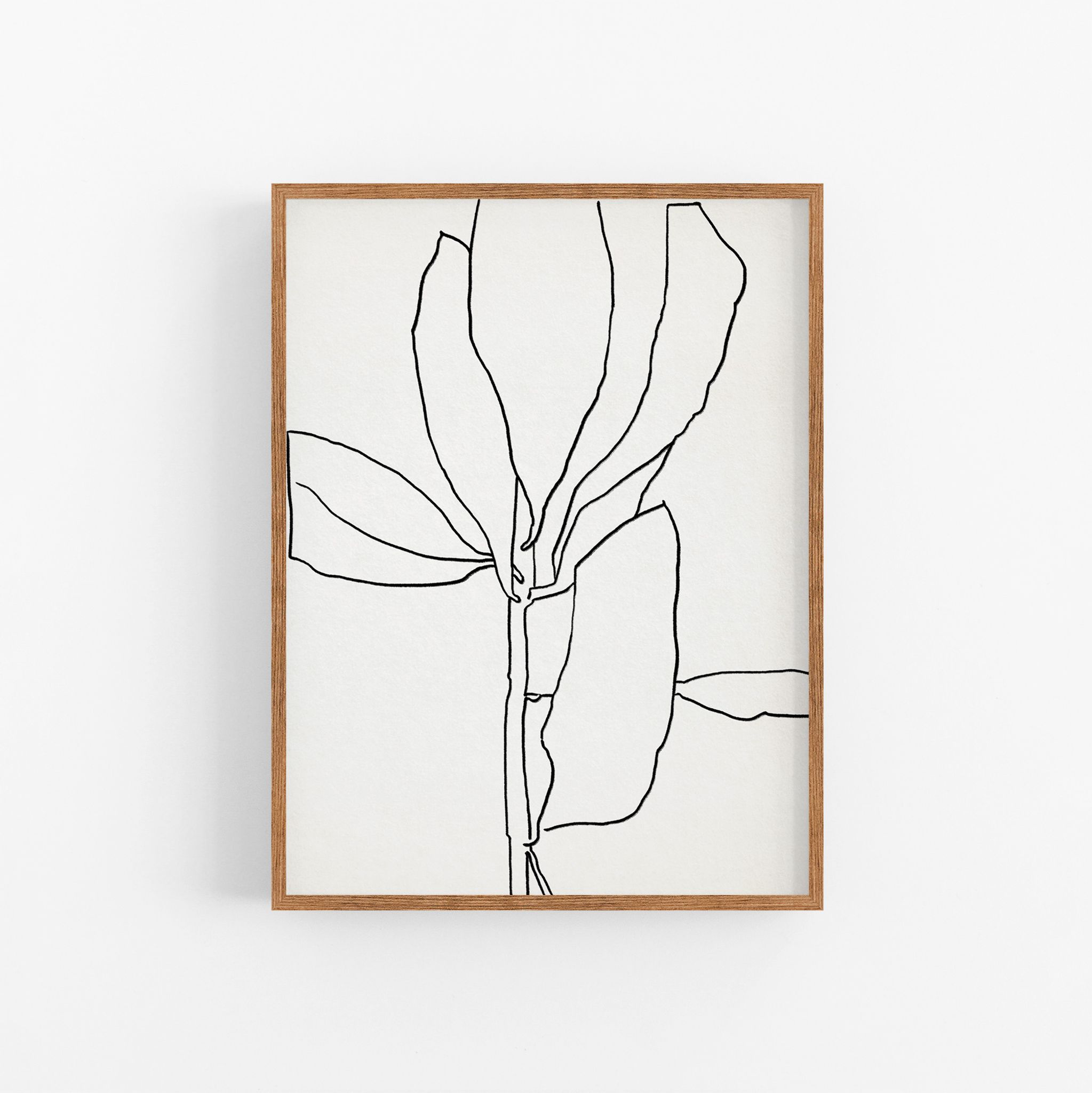 Botanical illustration black lines 50x70cm