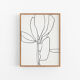 Illustration botanique lignes noires 50x70cm