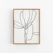 Botanical illustration black lines 50x70cm