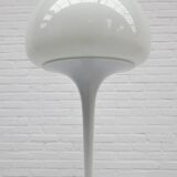 Floor Lamp by Goffredo Reggiani for Reggiani