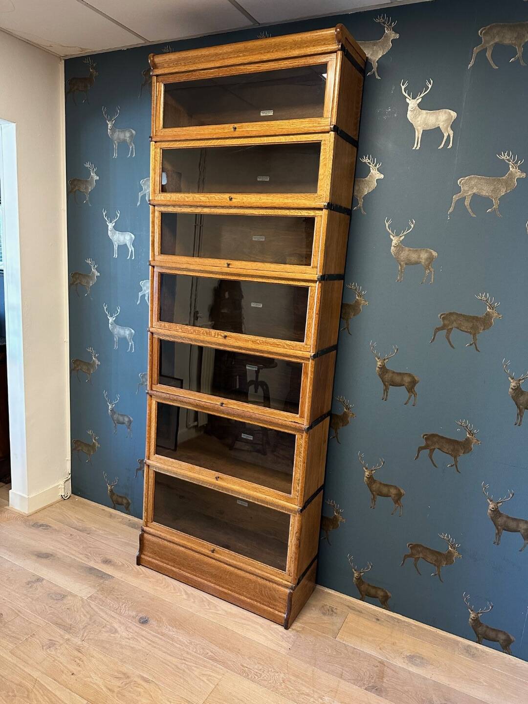 Antique Globe Wernicke Bookcase