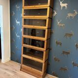 Antique Globe Wernicke Bookcase