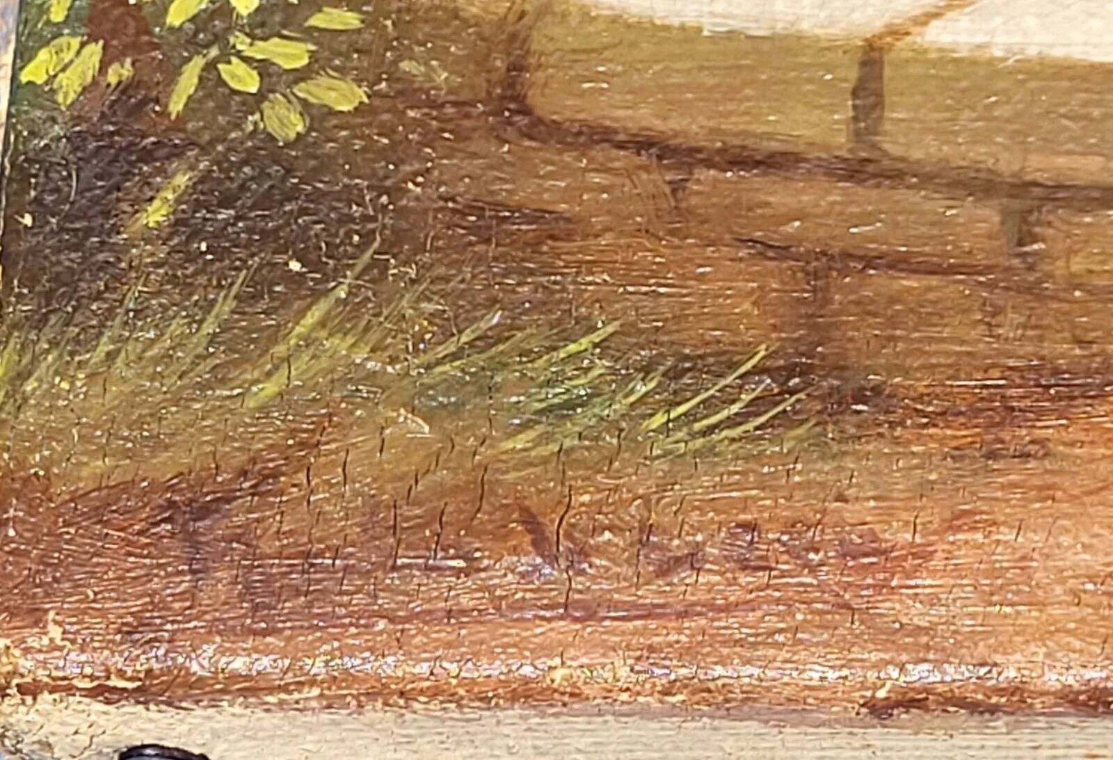 Mid 20th century "undergrowth" french school landscape oil painting